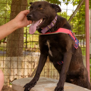 44_ebarvahaz_-081 44_ebarvahaz_-081