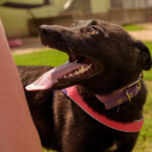 44_ebarvahaz_-088 44_ebarvahaz_-088