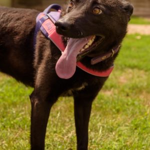 44_ebarvahaz_-089 44_ebarvahaz_-089