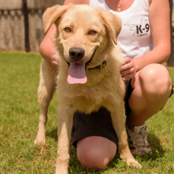 44_ebarvahaz_-193 44_ebarvahaz_-193