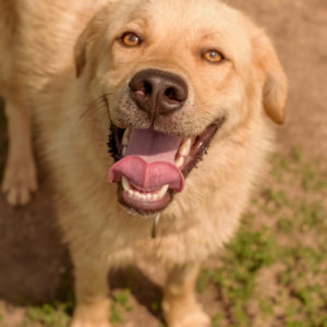 44_ebarvahaz_-216 44_ebarvahaz_-216