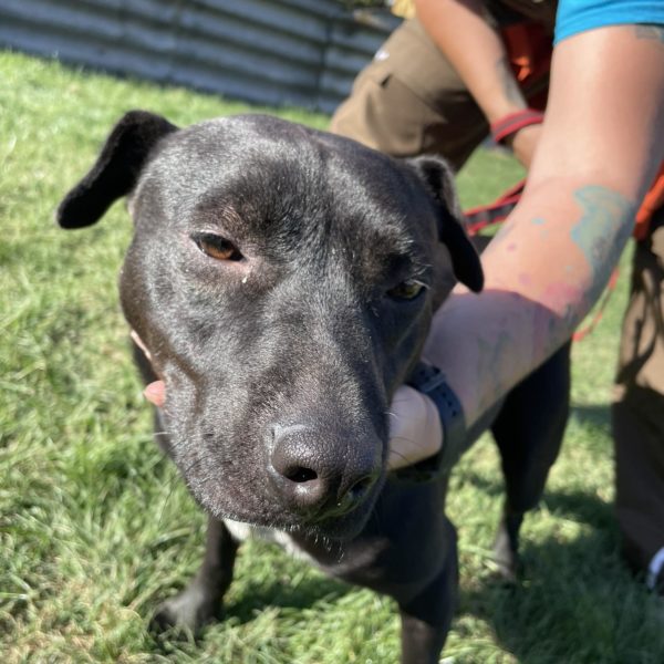 386103654_659214352990957_3752352392171419703_n