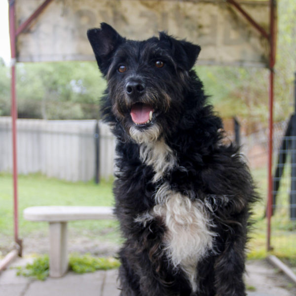 gáspárka4 gáspárka4