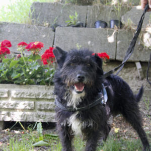 Gáspárka29 Gáspárka29