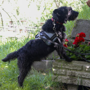 Gáspárka34 Gáspárka34